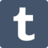 Tumblr icon